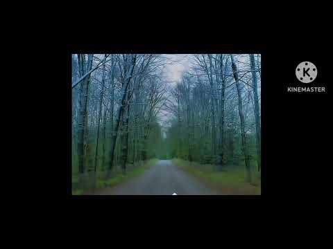 Baby monet 2000 in g major