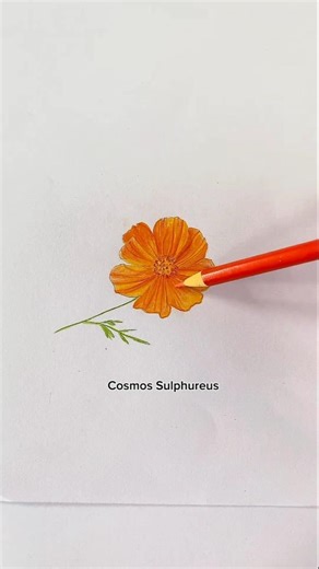 draw flowers #drawingtutorial #draw #paintingtutorial #painting #drawing #art #ayomelukis #howtodraw