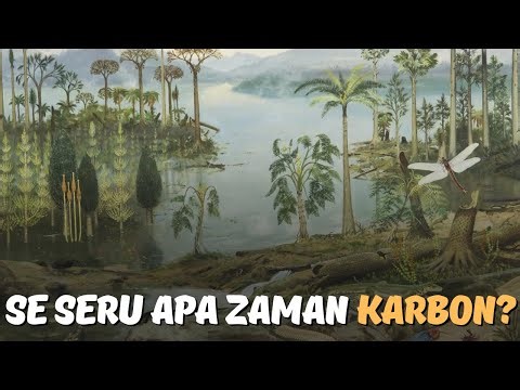 How Exciting Was the Carboniferous Period?