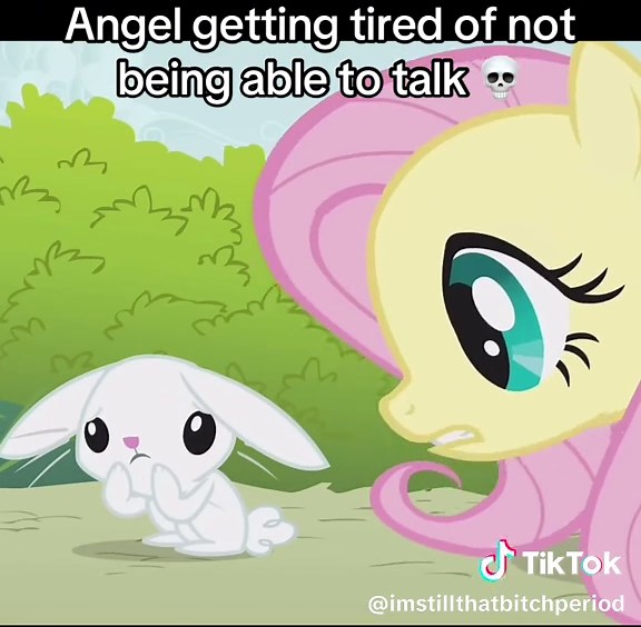 Angel's Hilarious Reactions in My Little Pony