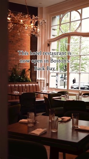 What elevates a hotel restaurant from a hotel restaurant to a restaurant that happens to be in a hotel—or, rather, somewhere that’s not just an easy pitstop for hotel guests, but also an exciting dining destination for locals unto itself? At Willow & Ivy, now open at the 125-year-old Lenox Hotel (as the third and final part of the hotel’s culinary revamp), that differentiation just might arrive under a smoke-filled cloche of a half dozen roasted oysters, or atop a bone marrow canoe flavored with