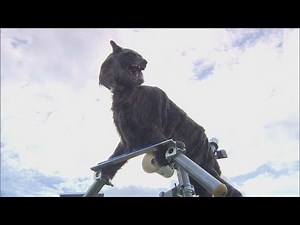 クマもシカも逃げる！野生動物撃退装置モンスターウルフ 自走式も開発 2024年12月11日にLBSで放送 TVhと日本経済新聞の共同制作