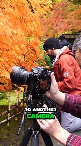 Why the Nikon D850 is the best camera for landscapes.. Get your FREE camera settings cheat sheets. Visit timsphotos.com | TimsPhotos