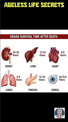Organ Survival Time After Death | Transplant Medicine Timeline Explained #healthtips #healthyaging