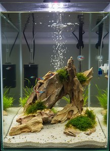 Natural Dragon Stone Aquarium Decor | Ohko Rock Aquascape Hardscape | Cave Rock for Fish Shrimp - Etsy