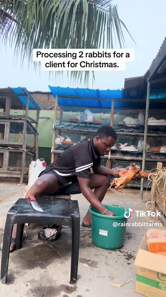 Why Choose Rabbit for Christmas Dinner Instead of Chicken?