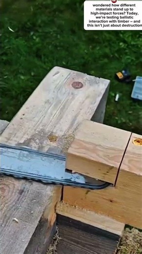 Educational] Bullet vs Wood: Understand Ballistic Resistance & Material Properties