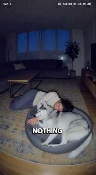 He refuses to sleep until 😭