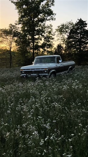 1977 Ford F-150 Dentside Restoration