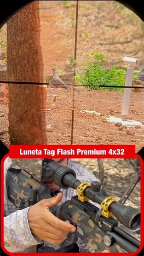 Good and Cheap 4x32 Scope!