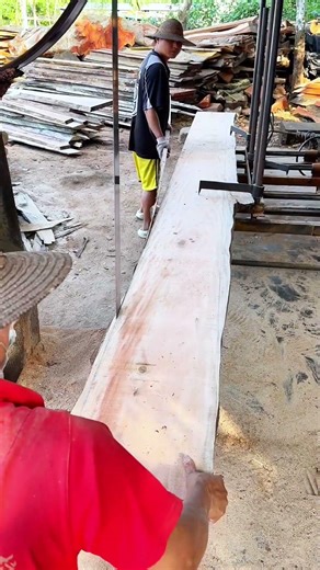 From Log to Lumber: The Art of Precision Band Saw Wood Milling