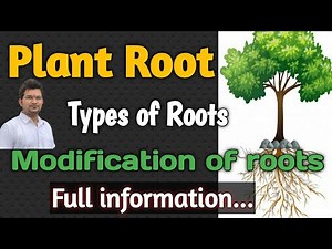 Biology for NEET | Plant Morphology | Plant Root | Types of roots |Modifications of roots NEET |ICAR