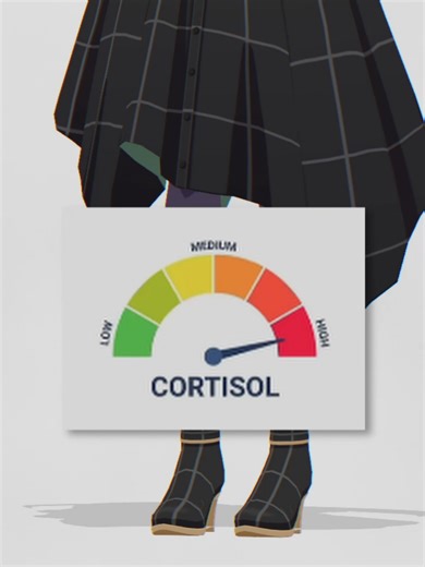 Low Cortisol Meme: The Original Animation
