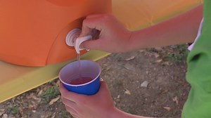 Texas Senate unanimously passes 'Save Our Lemonade Stands Bill'
