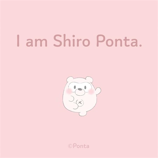 しろポンタです #shorts