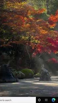 Cannot access network location windows 10 ( 2025 Fix )