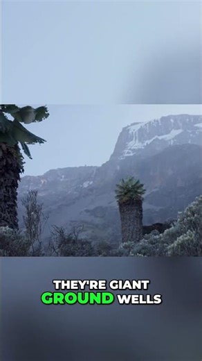 Alien Moorland: Giant Wells and Sci-Fi Cacti Found! #shorts