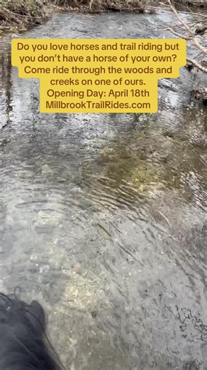 Chicagoland Horseback Trail Rides - Millbrook