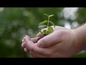 Vacation as a more responsible traveler with AAA and Tourism Cares - AAA Travel