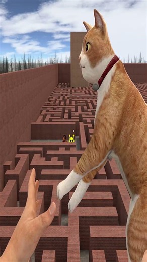 I Turned the Corner… and They Were Waiting in the Maze 😳 #gmod #garrysmod