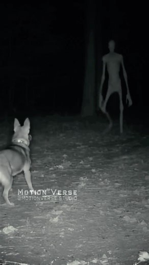 It Escaped Area 51… This Was the Last Footage 👽