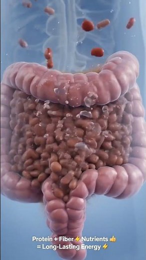 What Happens When You Eat Beans on an Empty Stomach? 🫘 | Realistic 3D Anatomy