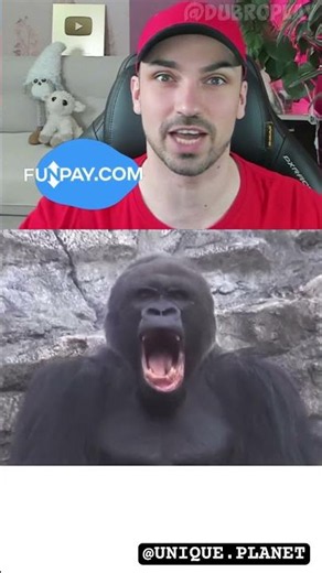 How do different animals yawn? #shorts