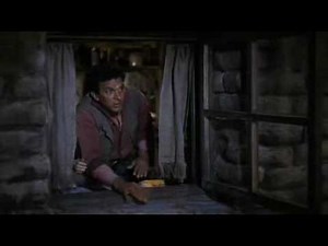 The Searchers by John Ford