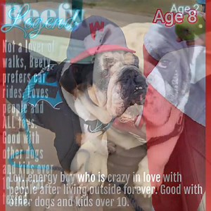 3.5K views · 99 reactions | Our adoption process is relatively...