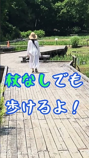 人工股関節置換術受けました。術後3週間、リハビリはただひたすらに歩くこと！#人工股関節置換術 #変形性股関節症 #THA#歩行練習