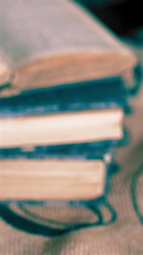 And by library, I mean THE library with all the books with all their histories. THE library. But more is on the way for Lira and Rodhlan... Defender of Histories is available now! #epicfantasyreads #bookrecommendation #fallreadinglist #fantasybooks #romanticfantasy #readers #bookishcommunity