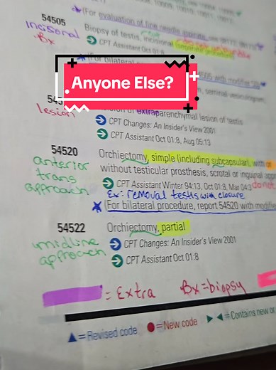 Medical Coding: A Beginner's Guide by Jen