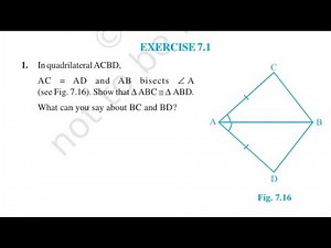 Exercise 7.1 class 9 maths