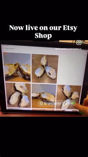 Welcome to North Norfolk Shells — a little coastal corner of my heart. I collect oyster shells from one of my favourite local restaurants along the beautiful North Norfolk Coast. Their natural shapes, colours, and textures inspired me to give them a second life as beautiful keepsake dishes. Our newly added trinket dishes are carefully cleaned, sterilised, and sun-dried, then finished by hand with a gold trim that enhances its natural beauty. No two pieces are ever the same — nature decides the s