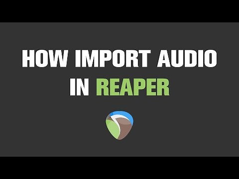 How to Import Audio in Reaper | Quick Tutorial