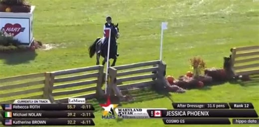 1.5K views · 385 reactions | So pleased with Cosmo GS cruising around the 3*L @maryland5star @galten_farms ❤️ | Jessica Phoenix - Phoenix Equestrian Team | Facebook