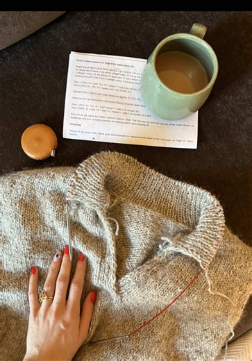 Knitting Projects and Book Recommendations for the Week