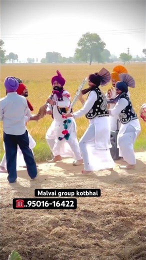 Malvai group kotbhai 95016-16422