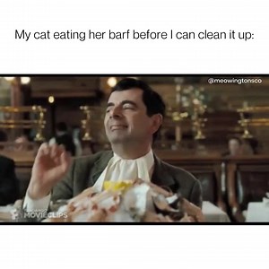 35K views · 816 reactions | Waste not, want not 濫 | Meowingtons | Facebook