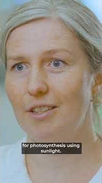 Converting CO2 to Protein Using Microorganisms Aarhus University Research