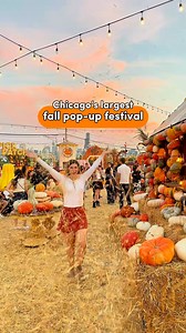Open now! 🎃 Chicago's ultimate fall festival is back in Goose Island! This all-ages seasonal experience features fall food and drink, carnival games, photo opps, a corn maze and more. Whether you want to race your friends on the mechanical pigs or just chow down on apple cider donuts, this is a great spot to soak in everything autumn. 🧡 All Ages | 21 to Drink | 18 Axe Throwing 🗓️ Now through 11/2 📍 1265 West Le Moyne 🔗 Tickets: https://bit.ly/4mx8ziW #NeverOutdoneChi | Choose Chicago