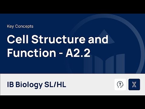 Cell Structure and Function [IB Biology SL/HL]