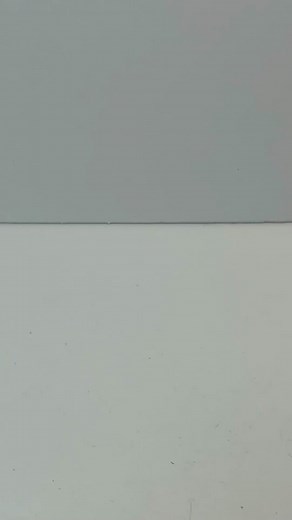 D. Thomas Minis on TikTok