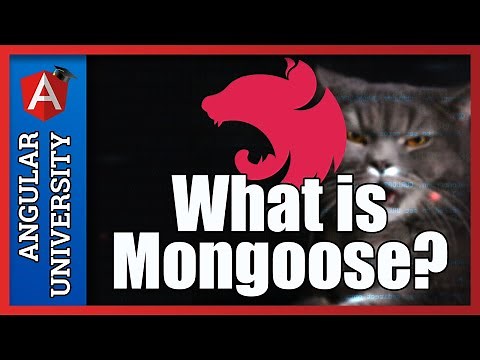 💥 What is Mongoose? Introduction to Schemaless databases