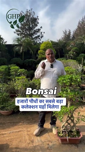 बोंसाई और टोपियरी पौधों का शानदार कलेक्शन!