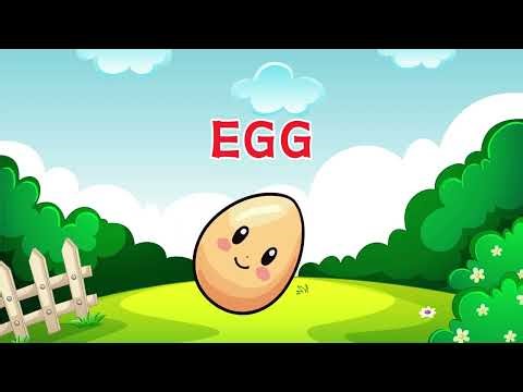 ABC Explorers - Exploring The Letter E