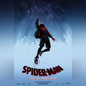 Homem-Aranha: No Aranhaverso