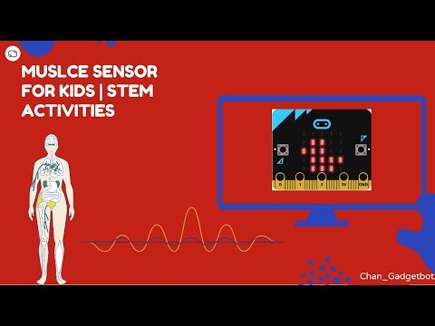 EMG (Electromyography) Tutorial | Micro bit | STEM activity