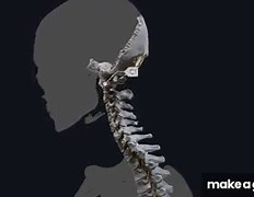 Human Anatomy Explained: The Ultimate Guide of Cervical Spine Movements | Anatomy.app on Make a GIF