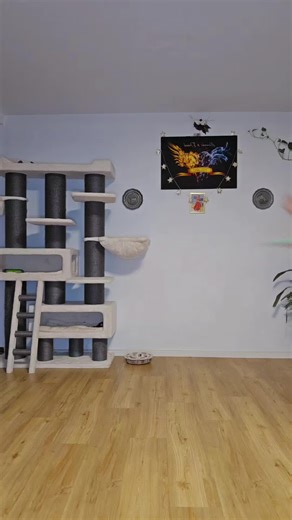 Diva Hula Hooping Fun